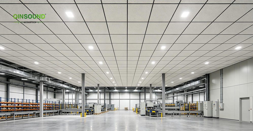 occupational noise protection
